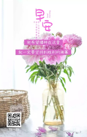 早安花朵日签
