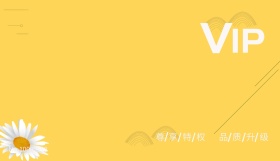 简约 商务 时尚 纯色 花纹 会员卡正面