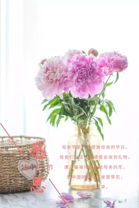 粉色简约母亲节宣传公众号配图