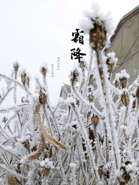 霜降清新水彩水墨山水中国风手绘插画海报