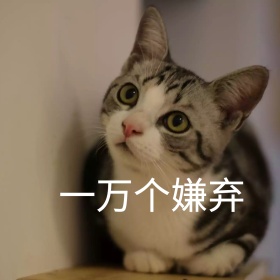 喵星人嫌弃恶搞日常可爱手机表情包