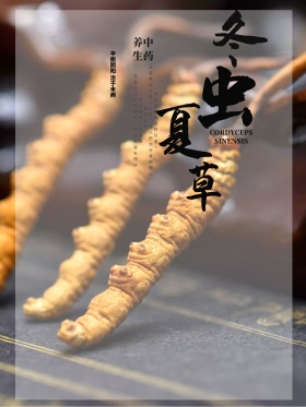 竹子水墨中国风中华药膳美食冬虫夏草海报