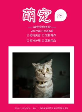 红色猫咪萌宠宠物医院海报模板