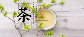 香茶粉丝节绿色简约淘宝banner