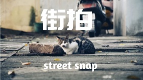 金额拍红包公众号封面