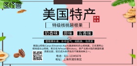 美国特产碧根果宣传海报