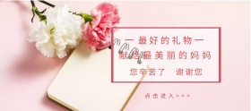 康乃馨母亲节粉红色简约淘宝banner