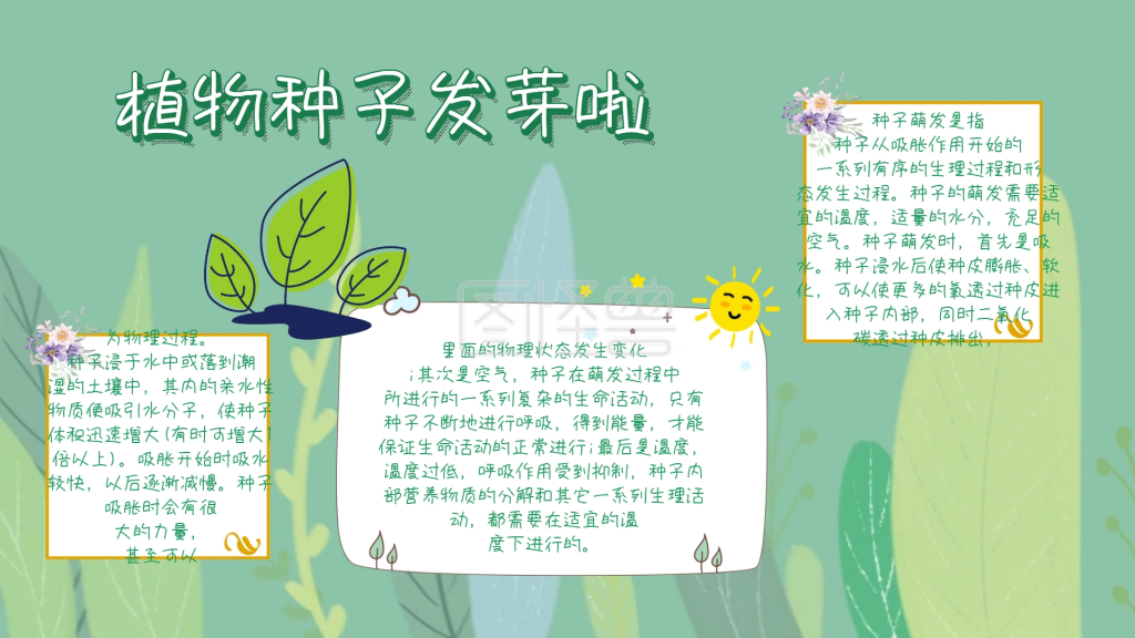 简约宣传植物种子发芽小报