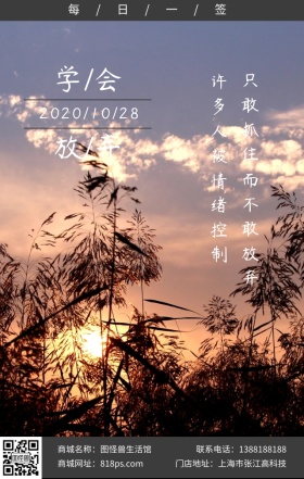 学会放弃秋天狗毛草日签