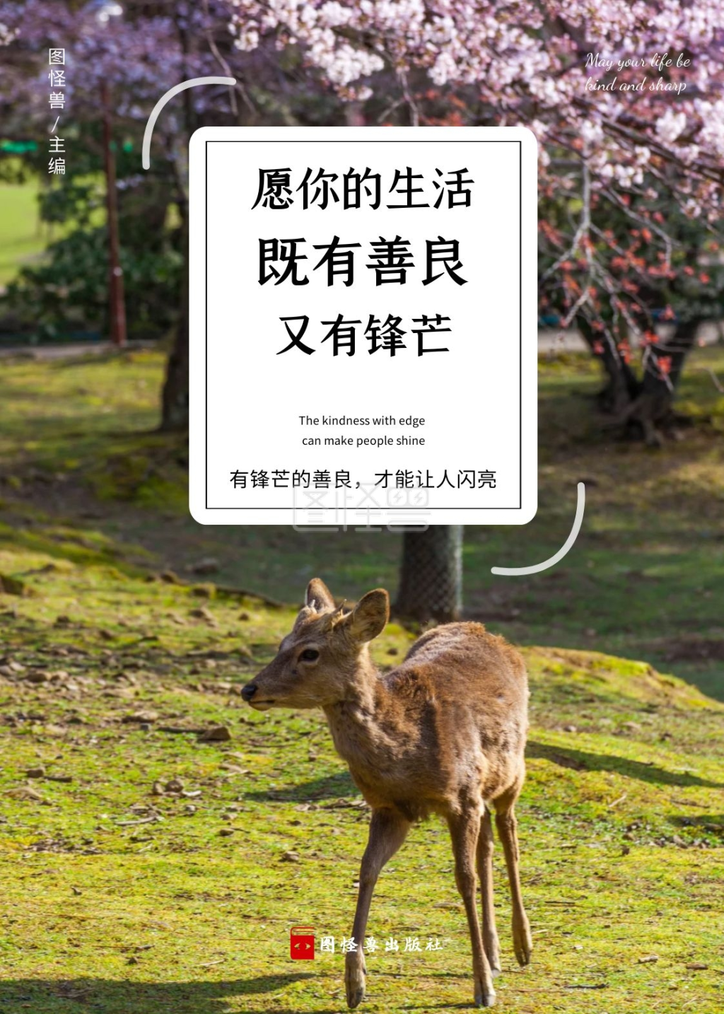 愿你的生活既有善良又有锋芒书籍封面