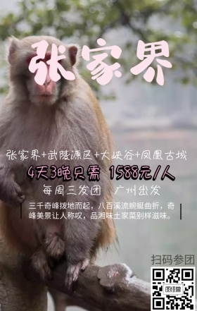 张家界旅游手机营销海报