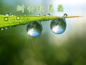 秋分简约创意公众号配图