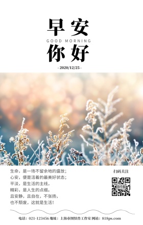 仙人掌早安你好粉色少女心问候日签