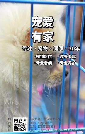 宠物医院动物猫狗海报