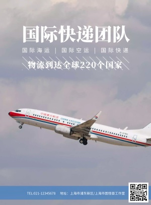 全球国际快递团队航空海报模板