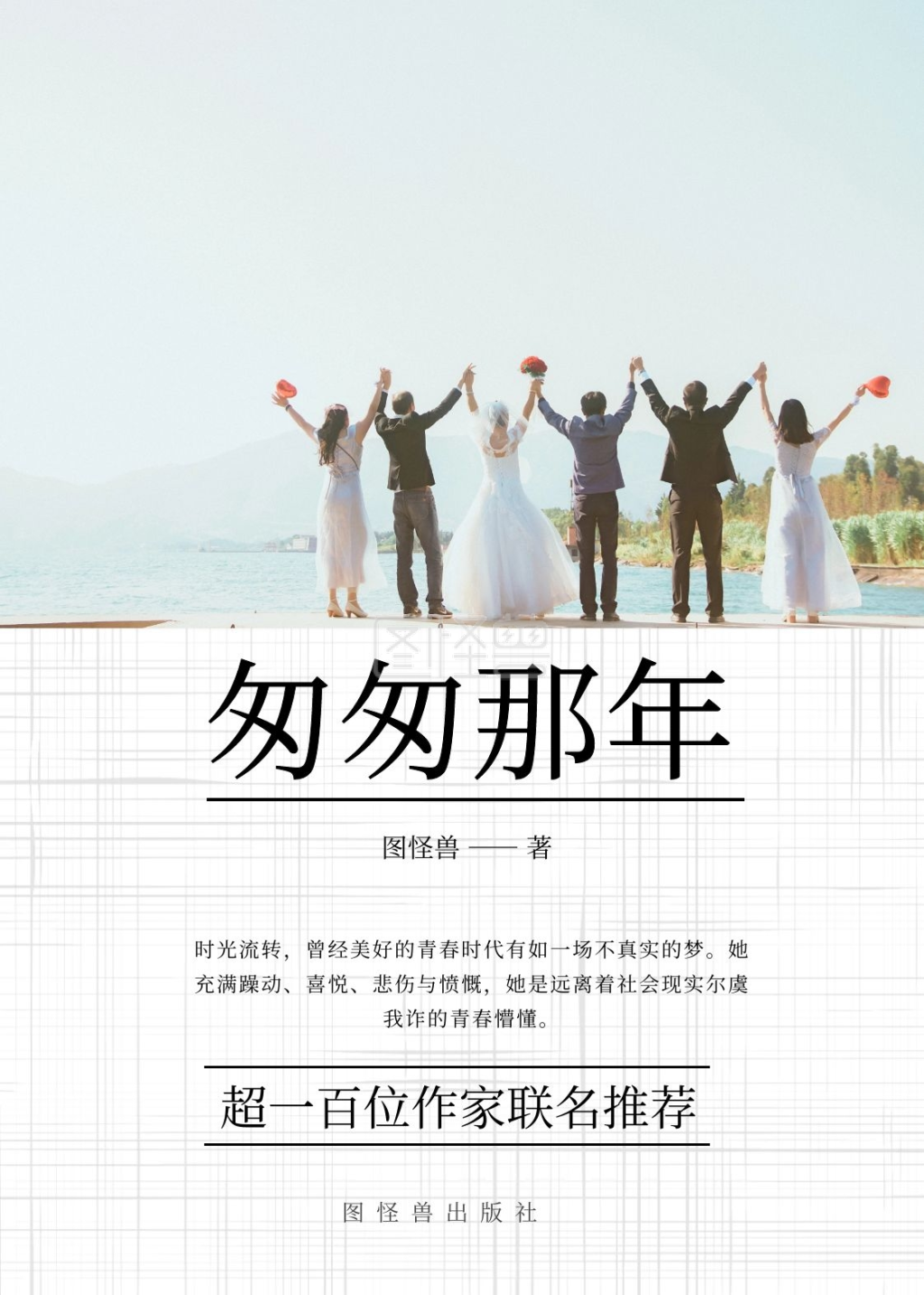 匆匆那年简约白色言情书籍封面