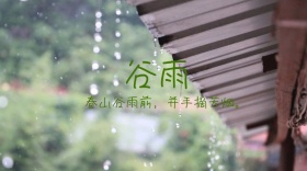 谷雨清新卡通诗句公众号封面模版