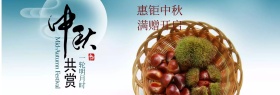 中秋佳节banner