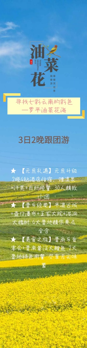 油菜花旅游详情页
