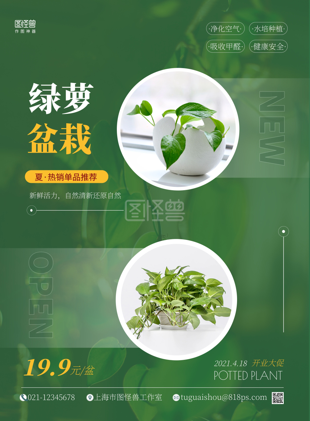 绿萝盆栽开业大促简约绿色宣传竖版海报