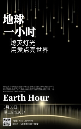 简约黑色地球一小时海报