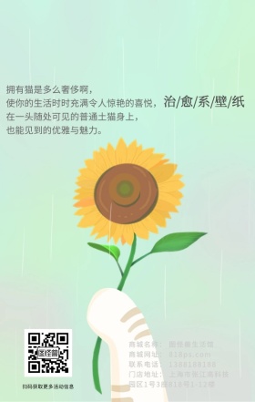 猫咪慵懒简约清新文艺极简治愈系海报