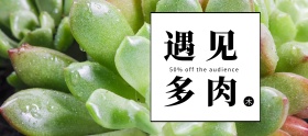 店铺活动简约多肉植物促销banner