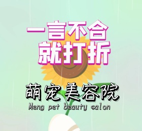 萌宠宠物可爱动物朋友圈封面
