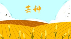 芒种简约清新公众号封面模板