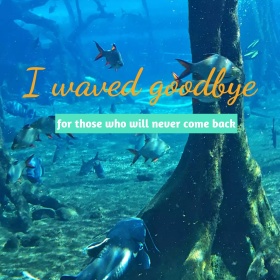 挥手说再见简约创意公众号正方形配图