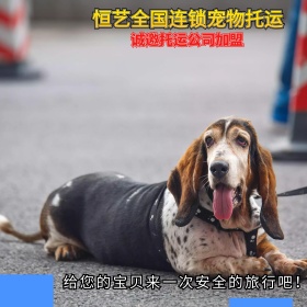 淘宝主图素材