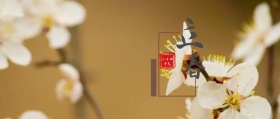 立春叶子立春粉色水墨公众号封面