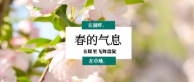 春的气息 在草地。 在湖畔。 在眼里飞舞盘旋 春季春天你好公众号封面