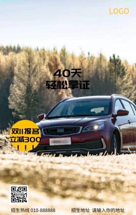 驾驶双十一培训招生宣传营销海报