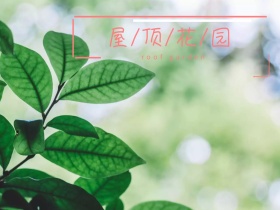花园