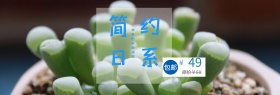 淡绿色简约日系文艺多肉植物淘宝电商天猫海报banner