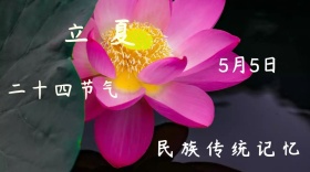 立夏自然红包公众号封面