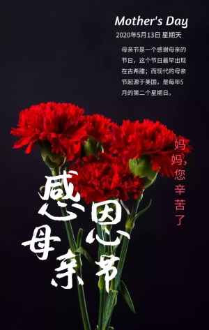 母亲节节日祝福粉色浪漫手机海报