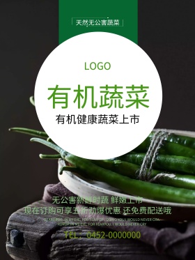 无公害有机蔬菜新鲜上市海报