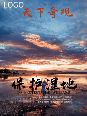 中国风大气保护湿地海报