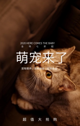 简约猫咪宠物促销手机海报