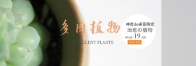米色小清新多肉植物促销淘宝电商天猫海报banner