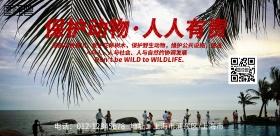 保护动物犀牛故事