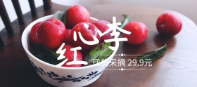 红心李时令时令水果聚划算banner图片