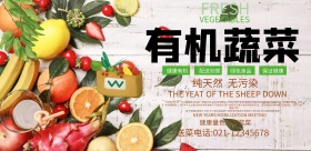 蔬菜配送海报