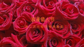 浪漫情人节红包公众号封面