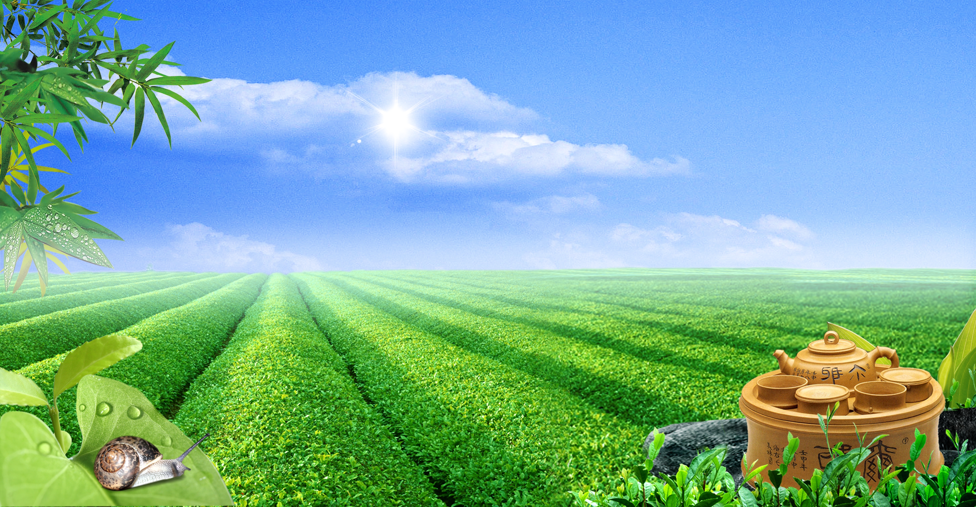 茶园-免费茶园设计素材-茶园图片模板-图怪兽