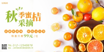 简约摄影水果橘子蜜桔横版秋季采摘横版海报