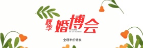 粉色钻戒秋季婚博会淘宝海报banner电商