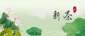 新茶 八折起 春茶春季茶叶促销公众号封面